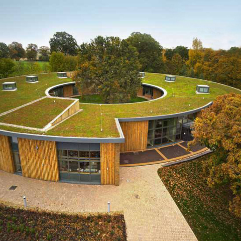 Equine House