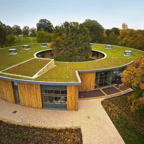 Equine House