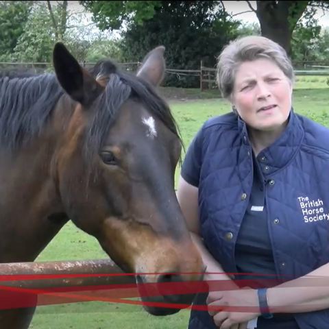 Learn What To Do Once You Spot The Symptoms Of Colic Video