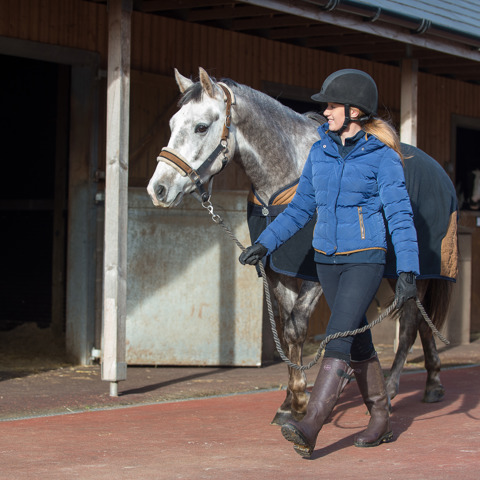 Caring For Your Horse Credit Jon Stroud Media