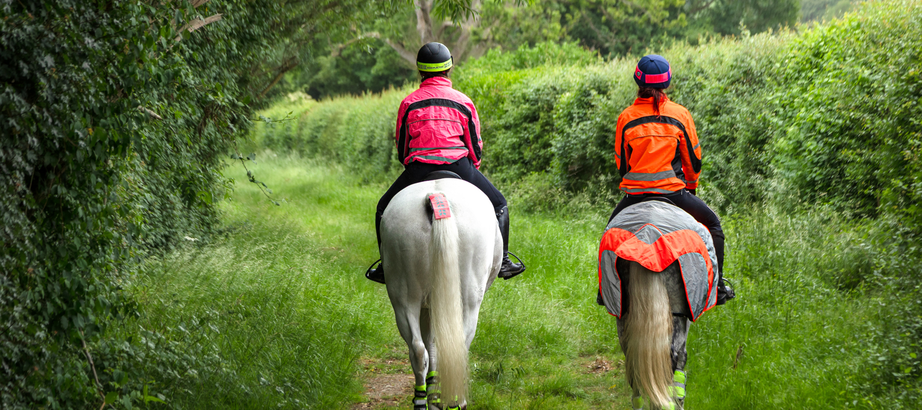 Horses And Riders In Hi Vis Hacking Consent Expires Jul 15, 2027