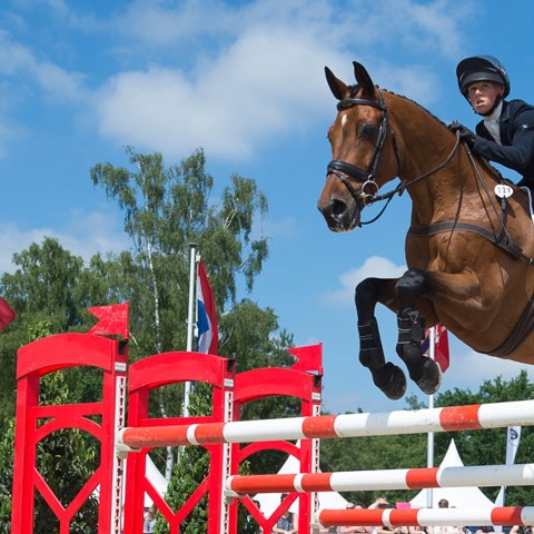 Groom With Riding Pathway (Show Jumping)