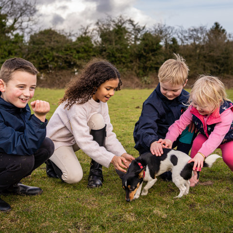 kids playing with a dog