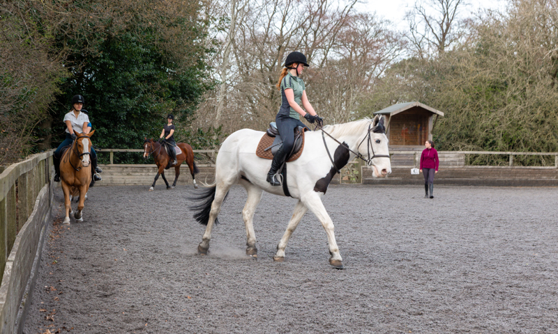 Polegate Horse Riding Hargate Equestrian Ltd | BHS Approved Centre | The British Horse Society