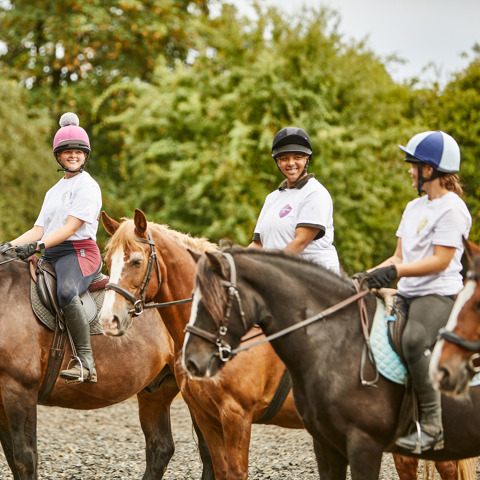 BHS Horse Explorers 174