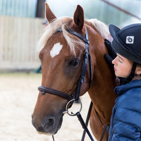 changing lives through horses girl and a horse