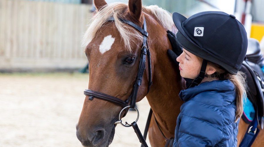 changing lives through horses girl and a horse