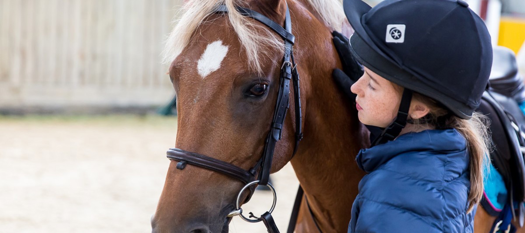 changing lives through horses girl and a horse