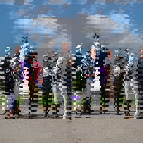 horse riders with horses showing rosettes