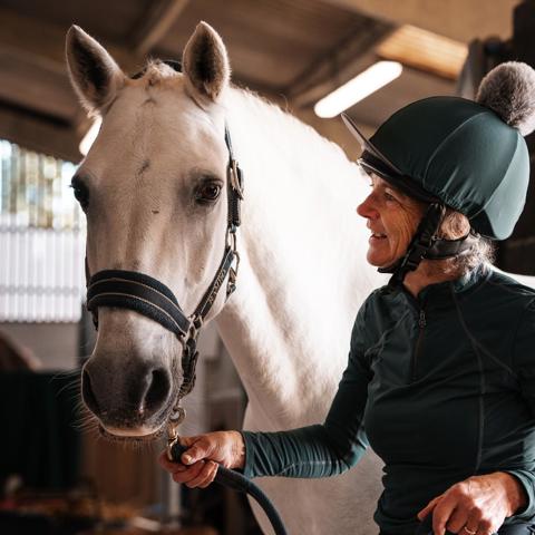 Grey Horse And Rider