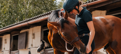 Horse Human Bond