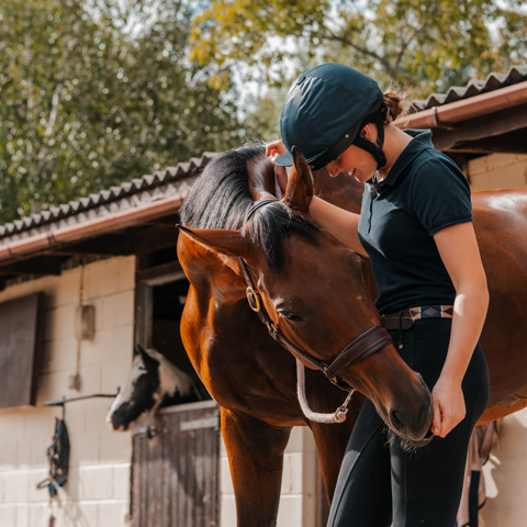 Horse Human Bond