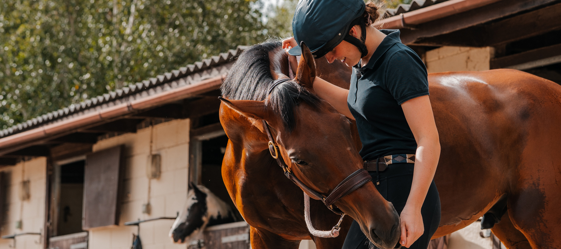 Horse Human Bond