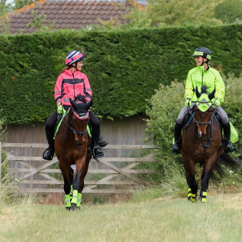 Horses And Riders In Hi Vis Hacking