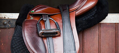 Saddle On Stable Door (1)