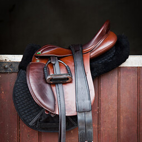 Saddle On Stable Door (1)