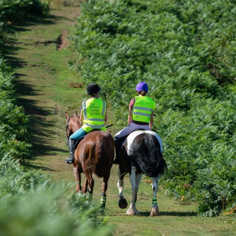 two riders on horses wearing BHS hi vis