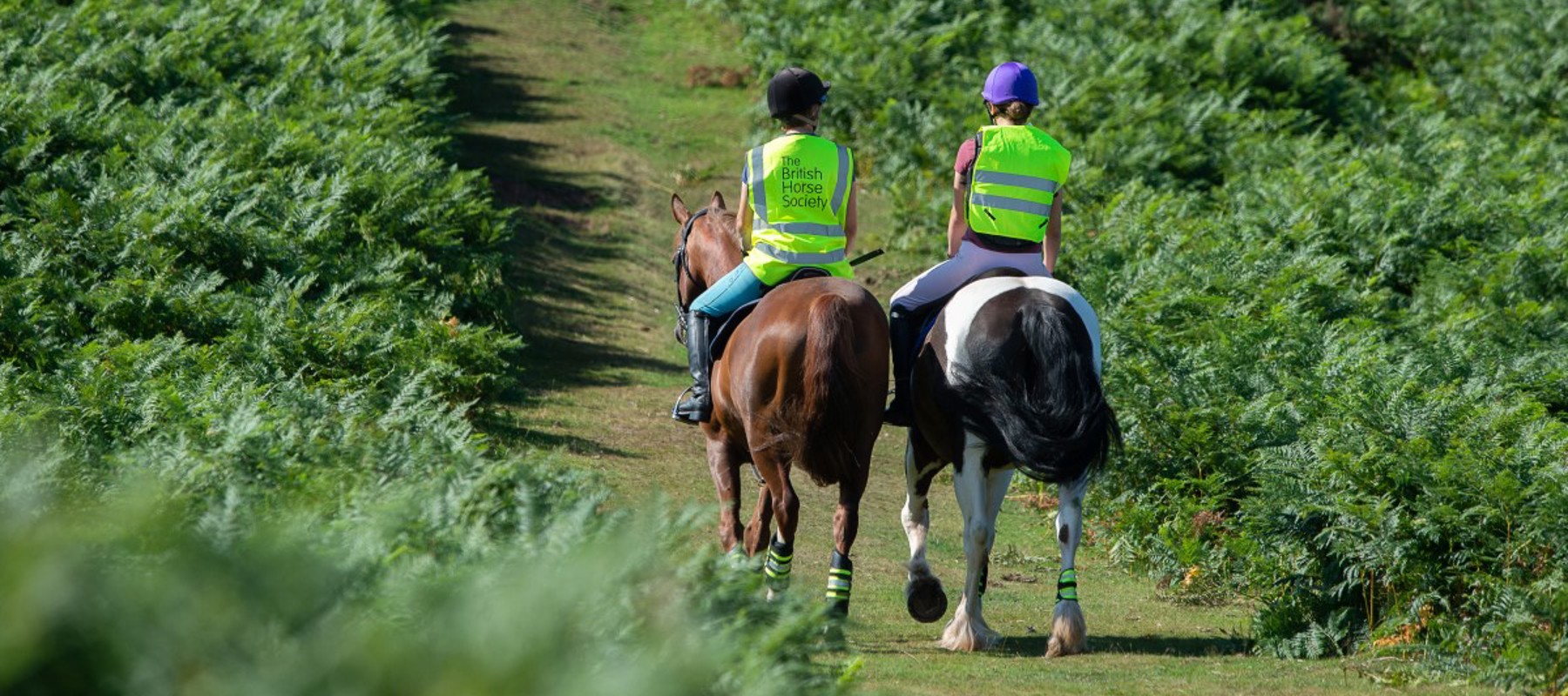 two riders on horses wearing BHS hi vis