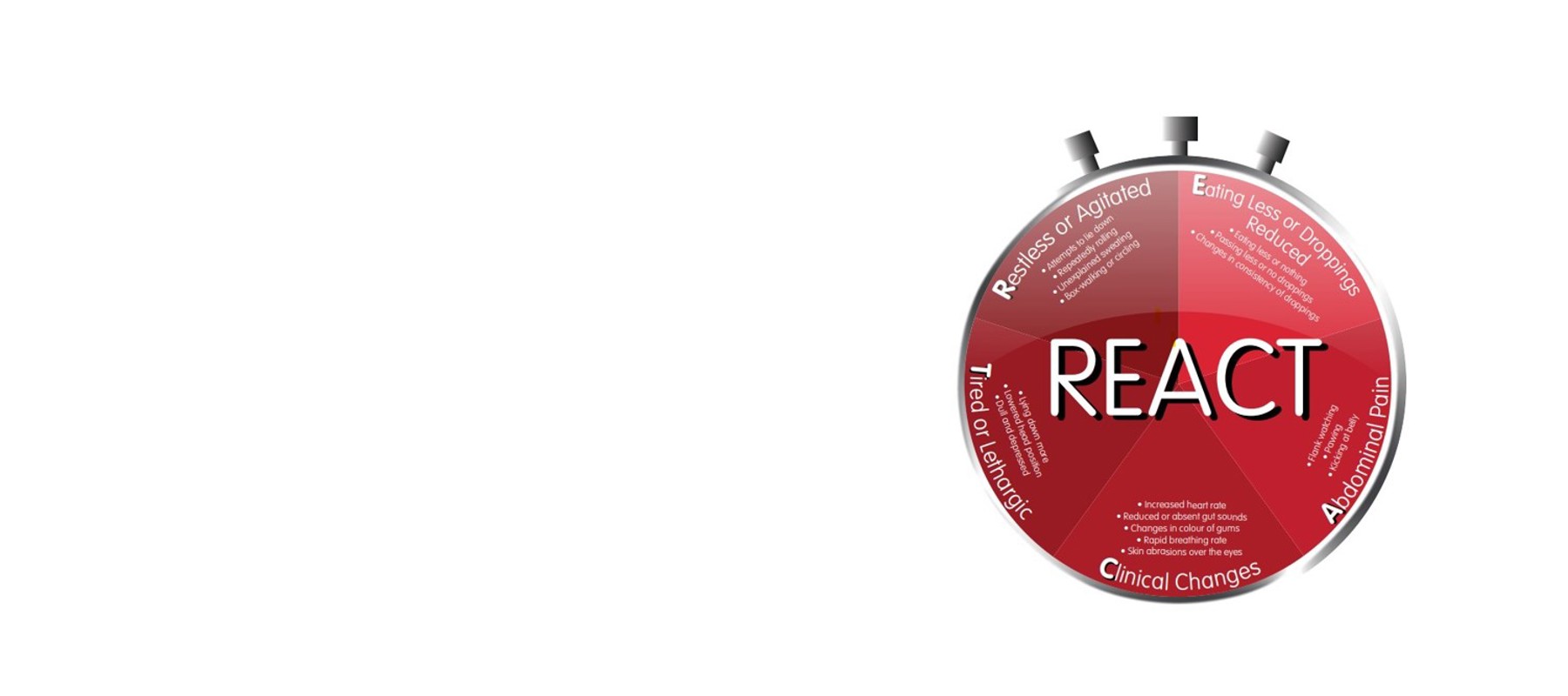 Colicreact Clock