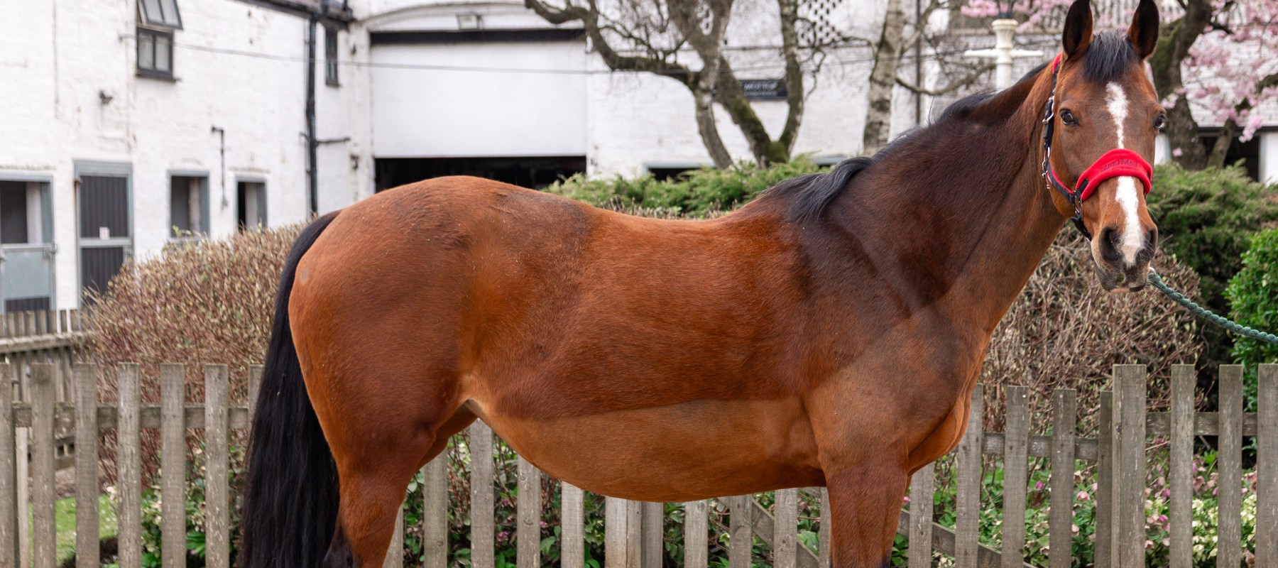 Bourne Vale Stage 1 Photoshoot (Mar 25)