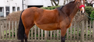 Bourne Vale Stage 1 Photoshoot (Mar 25)