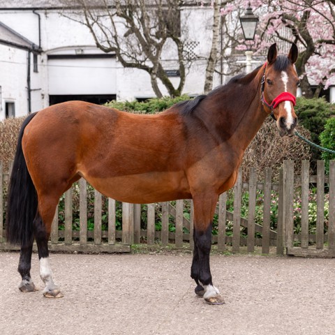 Bourne Vale Stage 1 Photoshoot (Mar 25)