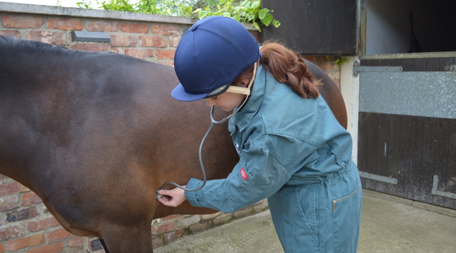 Taking The Heart Rate 3