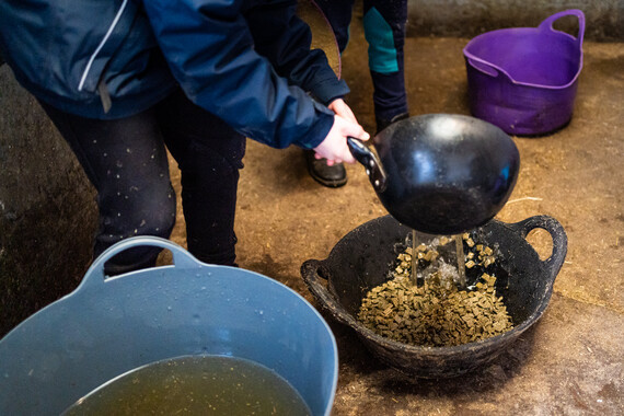 Equine Choke The British Horse Society