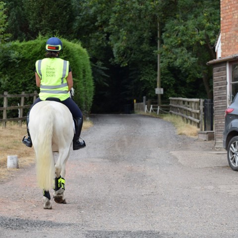 horse rider passing by car