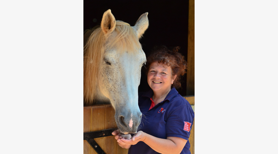 E134 6827 2 Liz Ruby Border Grey