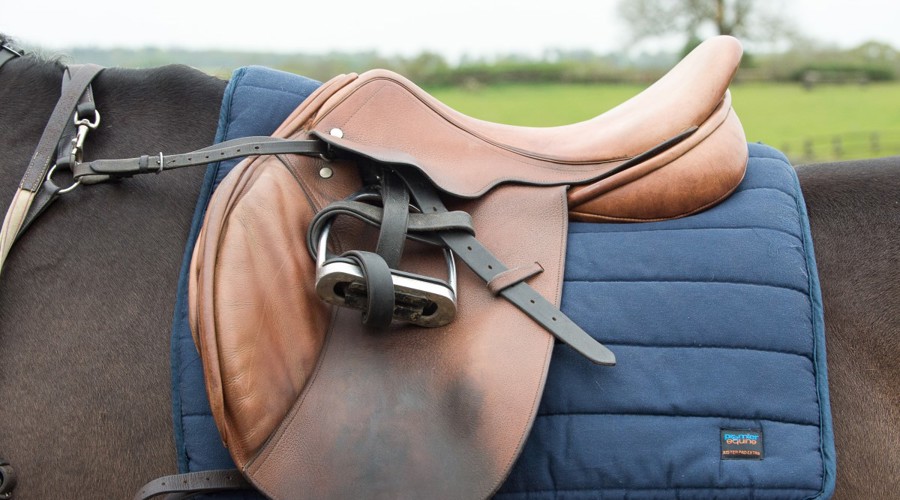 Saddle 2