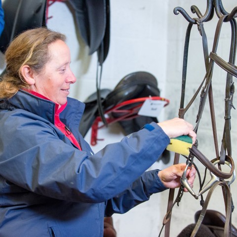 Cleaning A Bridle
