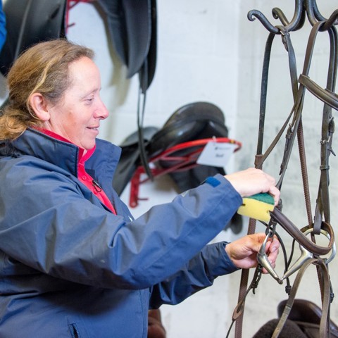 cleaning a bridle