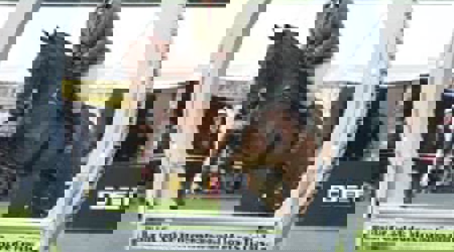 481095747 645408504545133 7388862392904914658 N