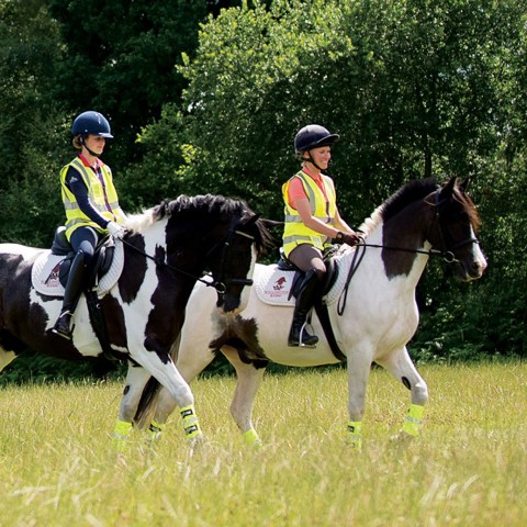 horse riding safe hi viz