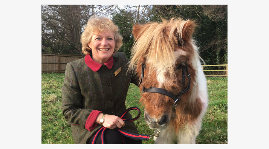 Liz Earl Bhs Stage 3 Coach At Shetland Pony Club Border Grey