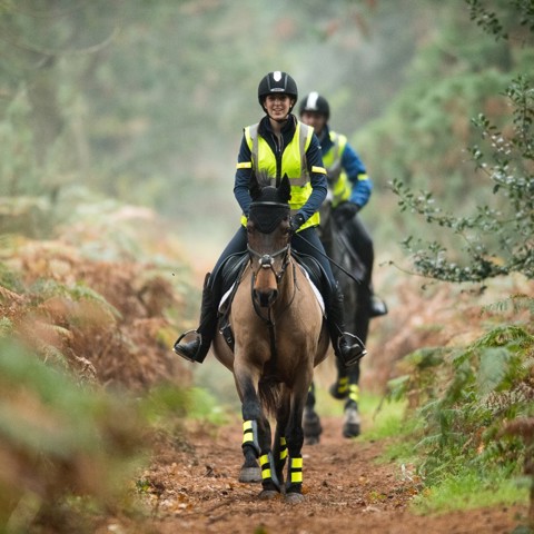 two riders on a horse in nature wearing hi vis