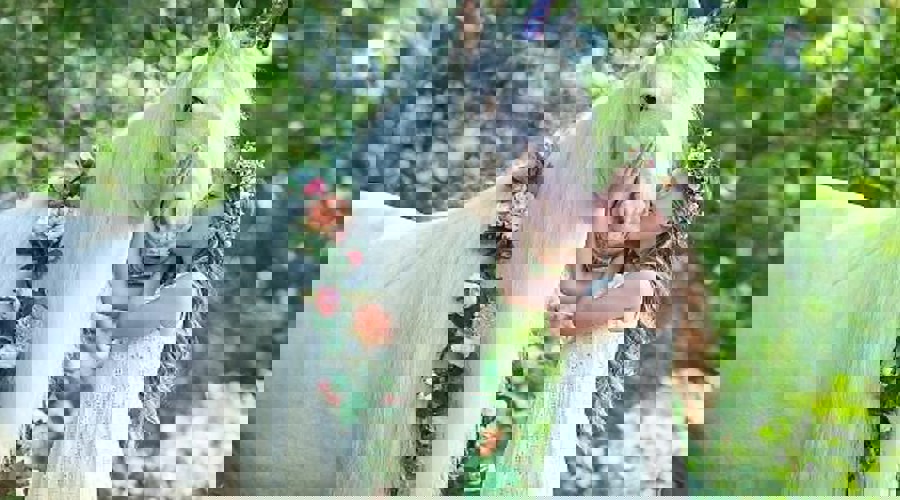 964E9260 Fc96 41C3 A392 C0f7f3749484