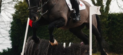Tom Mcewen Jumping A Brush Fence