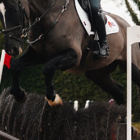 Tom Mcewen Jumping A Brush Fence