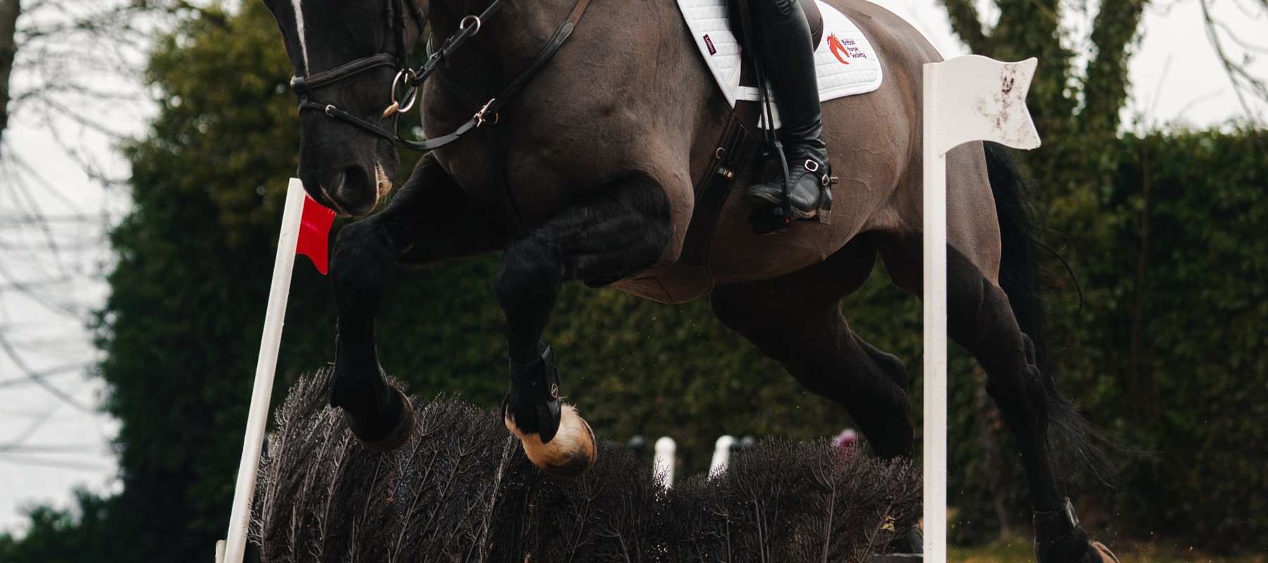 Tom Mcewen Jumping A Brush Fence
