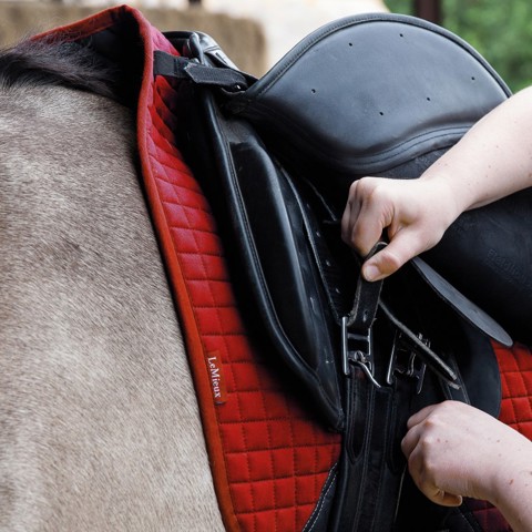 tightening girth on saddle