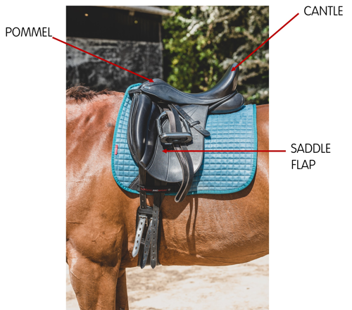 Image labelling the pommel, cantle and saddle flap on a dressage saddle