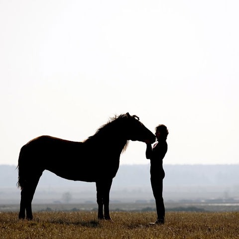 Horse And Rider In Countryside Shutterstock 11585581