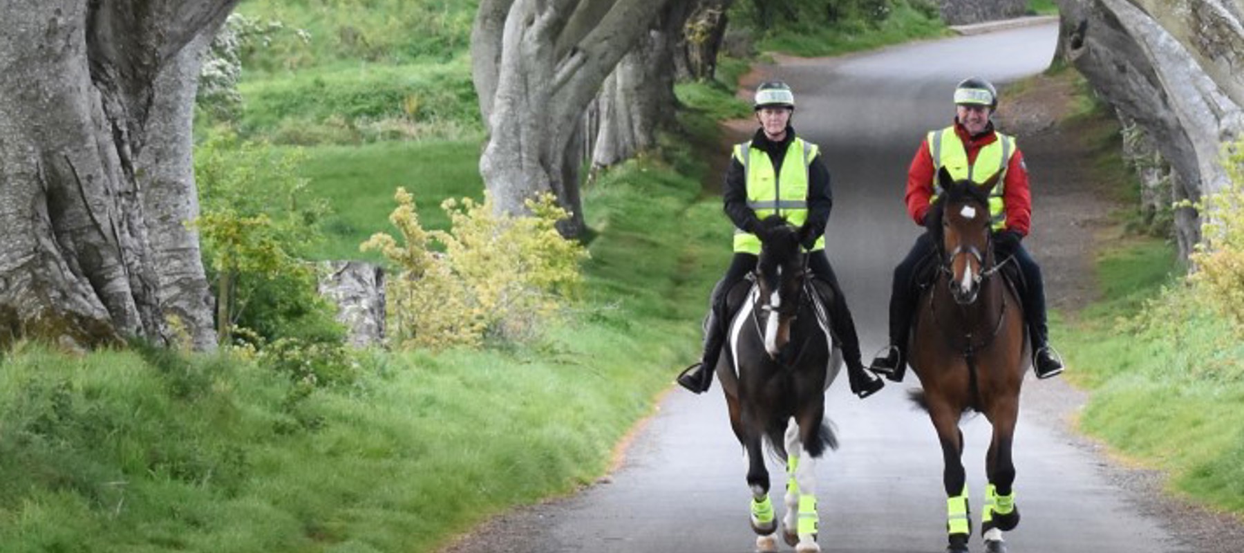 Dark Hedges Game Of Thrones Riding Out In The Woods