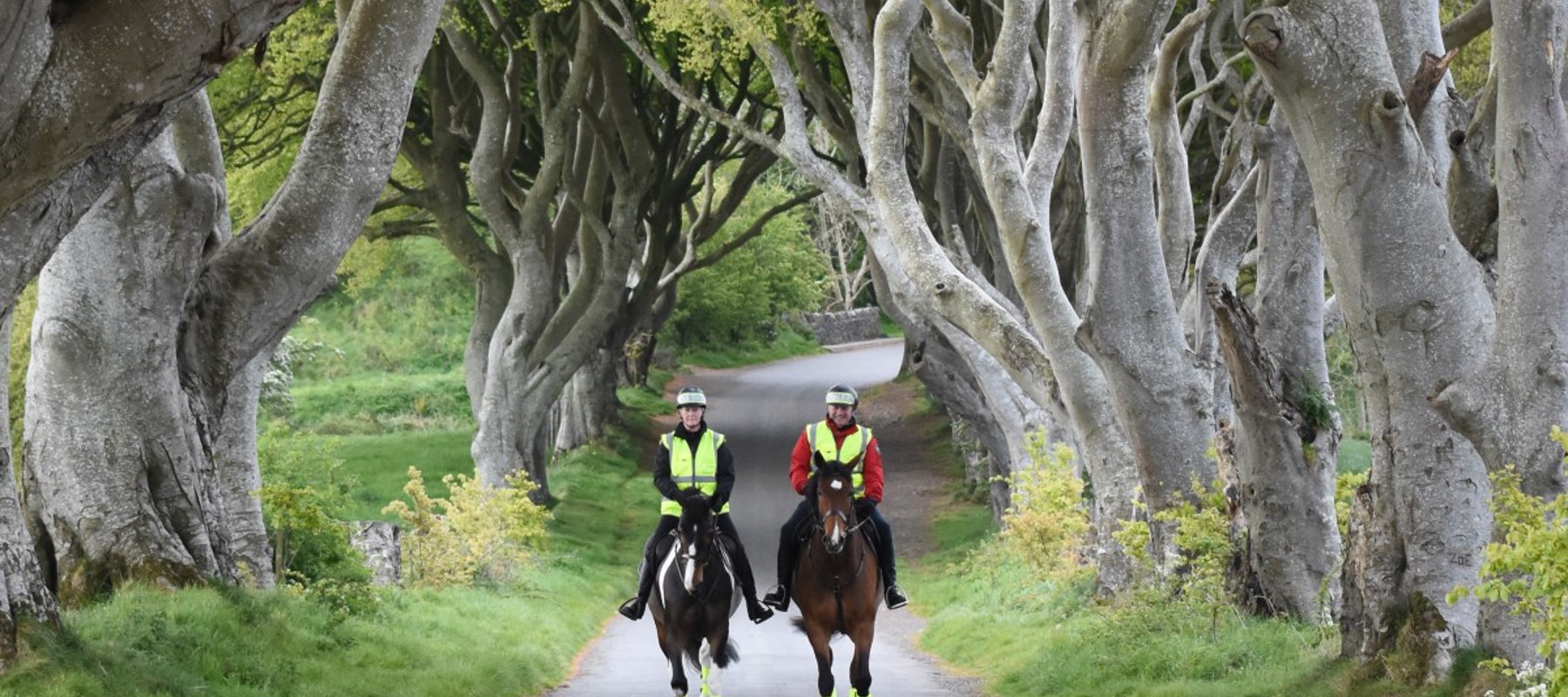 Dark Hedges Game Of Thrones Riding Out In The Woods