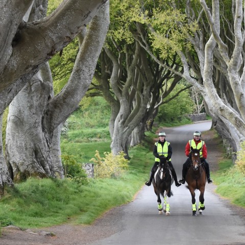 Dark Hedges Game Of Thrones Riding Out In The Woods