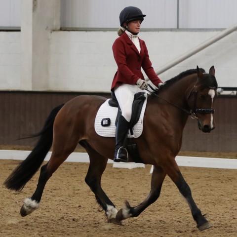Chloe Mason Highest Placed Junior In The Elementary Class Finishing Third And Winner Of The Junior Novice Class