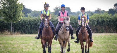 Bungalow Farm Horses 7