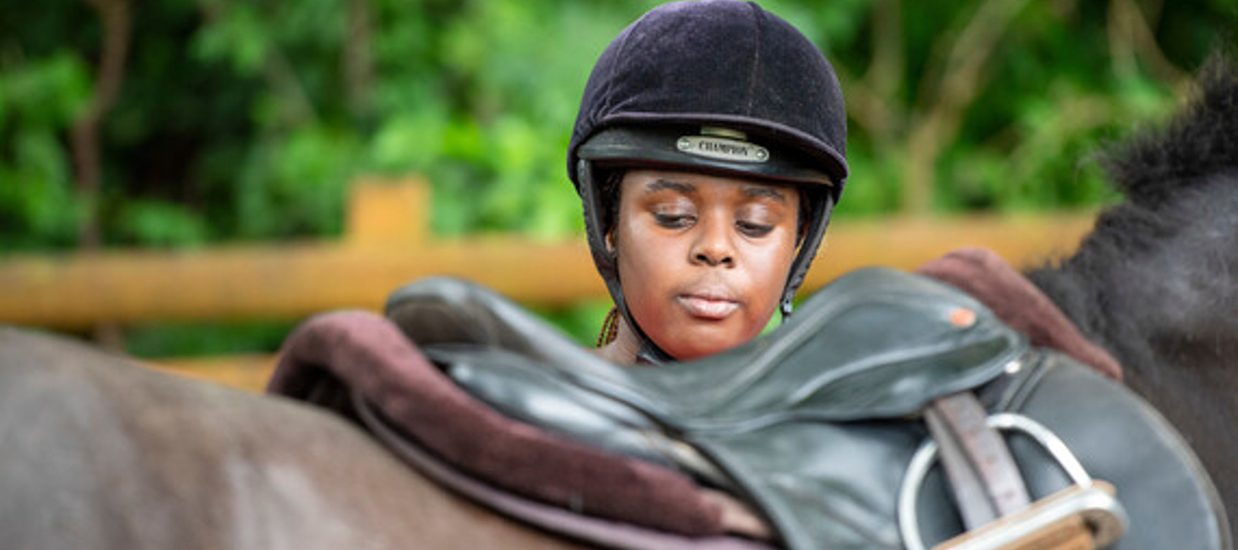 Professional qualifications The British Horse Society